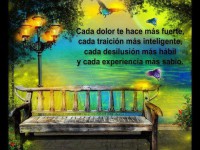 /album/fotogaleria/a319044-484540074901602-1003768466-n-jpg/